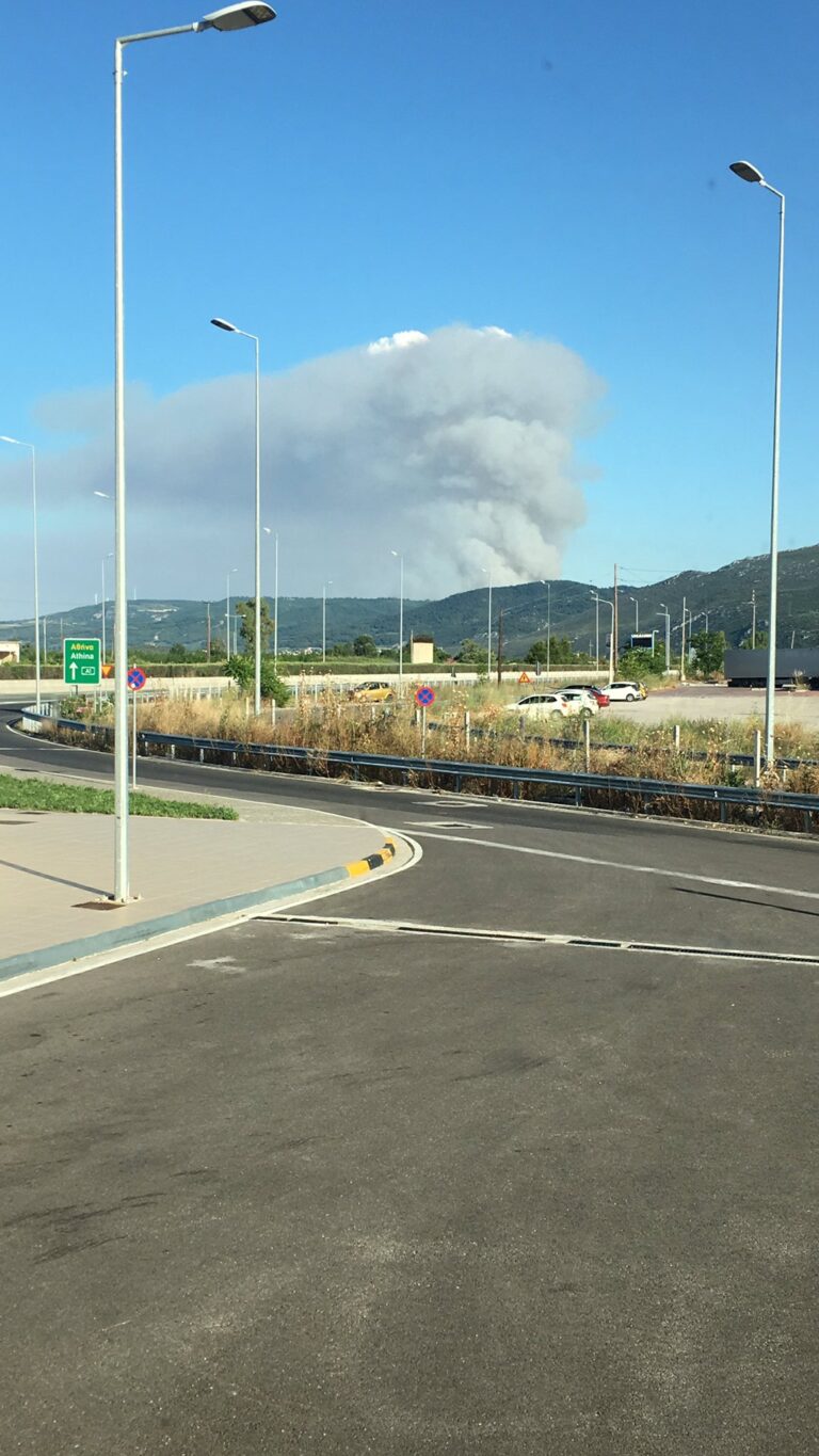 Wild Fires erupt in west Fthiotida, Corinthia (update)