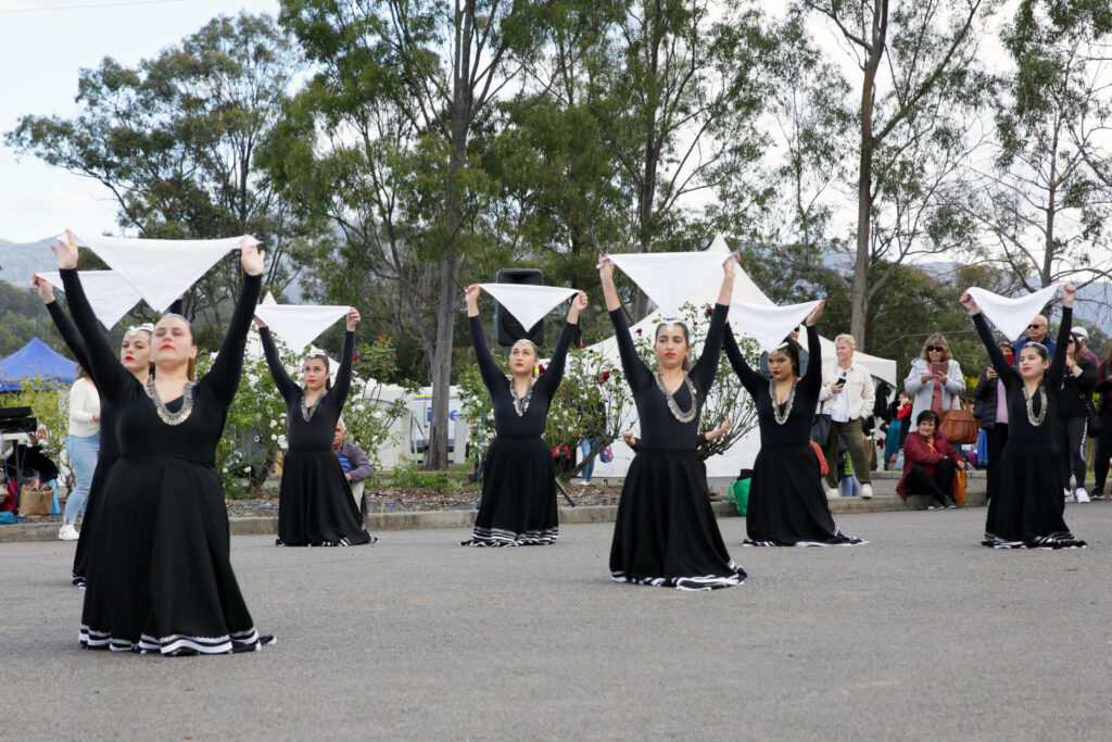 The Greek Festival at the Hunter Valley - Grapes or Gripes? 53