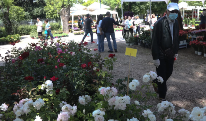 67th annual Kifissia Flower Show opens