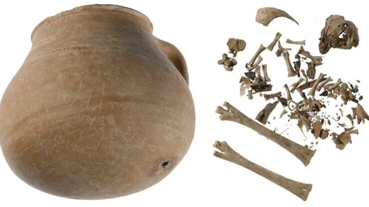 ancient greek jar and chicken bones