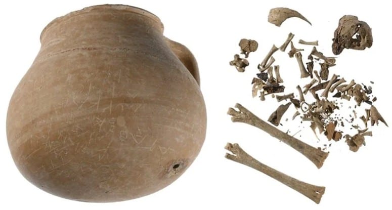 ancient greek jar and chicken bones