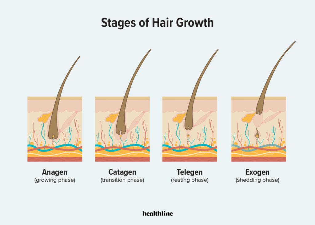 Ladies, Can't Seem To Grow Your Hair? These 5 Reasons Could Be Why