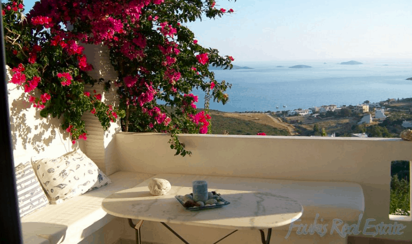 buy in Andros Greece