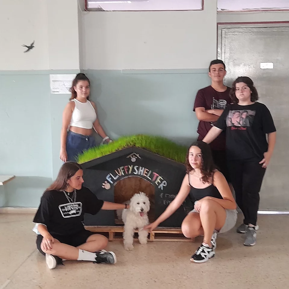 Students in Evia create an eco-friendly dog house