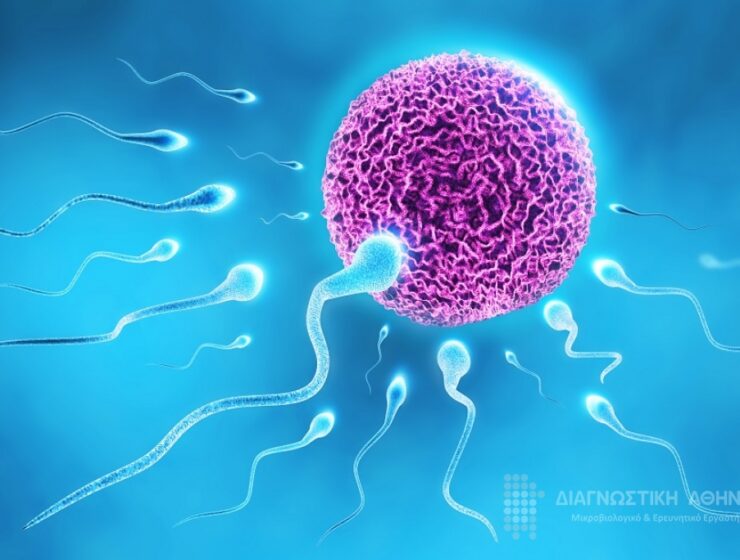 Male fertility and vaccination impact addressed in new study 15