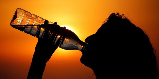 drought heatwave drink water sun