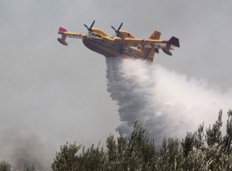 Greece: 58 forest fires in 24 hours 4