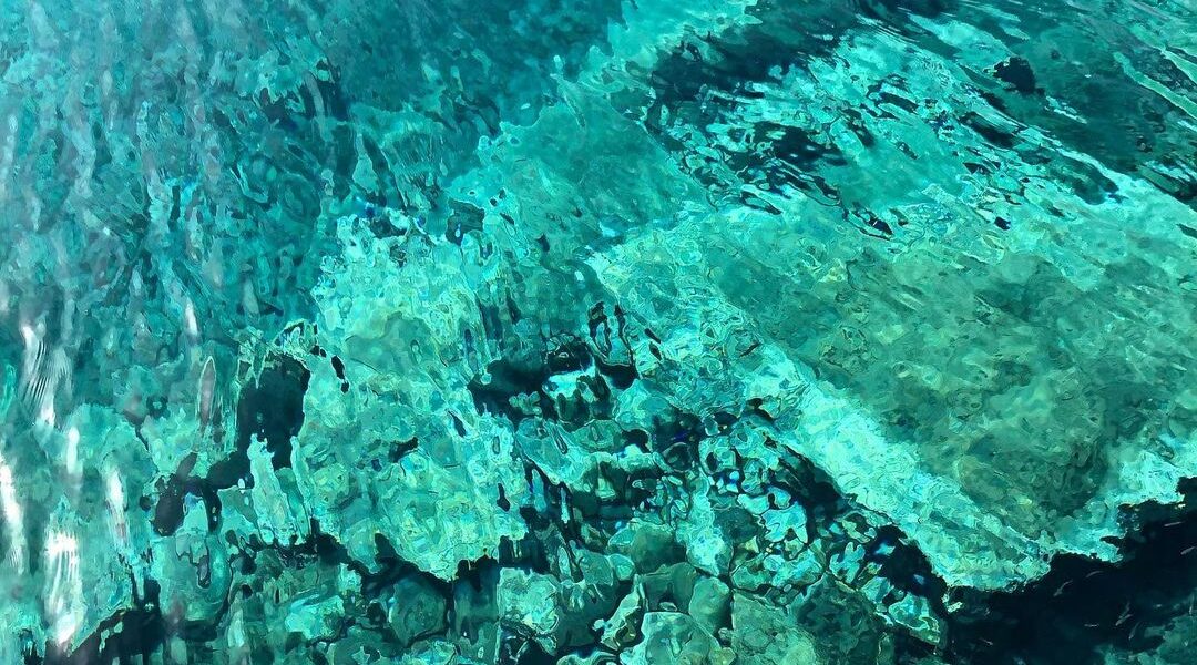 Ancient coral formations being explored - Greek City Times