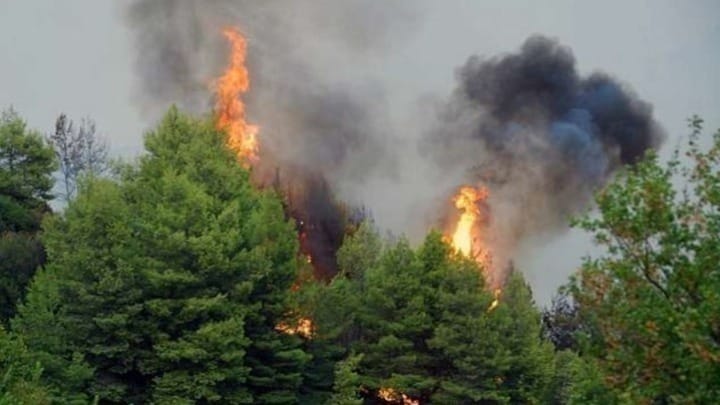 Forest fires ravage Greek island of Kefalonia 1