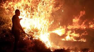 Greek police find and arrest Kefalonia arsonist who burnt 6,000 acres 1
