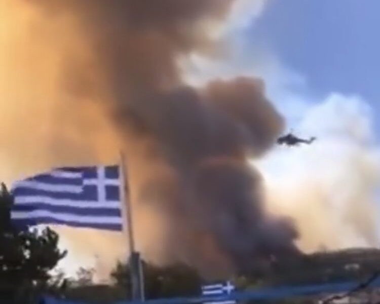 Forest fire at Zeria, Achaia, northwestern Peloponnese 1