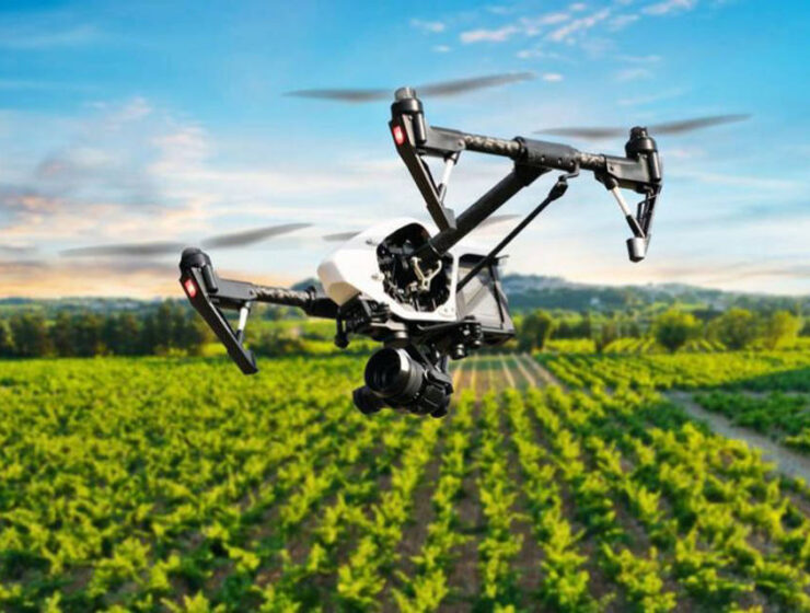 CRETE: Drones to protect olive groves in new pest control initiative 2