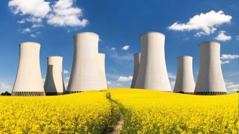 nuclear energy reactor plant