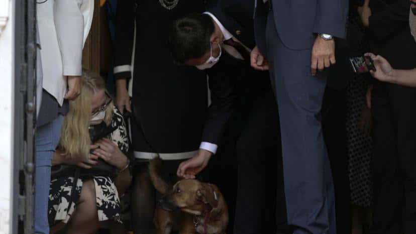 Greek PMs Mitsotakis dog Peanut