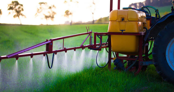 One-fifth of all Turkish food exports contaminated with banned pesticides 1