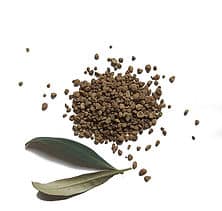 Koukos de Lab Furniture olive seeds