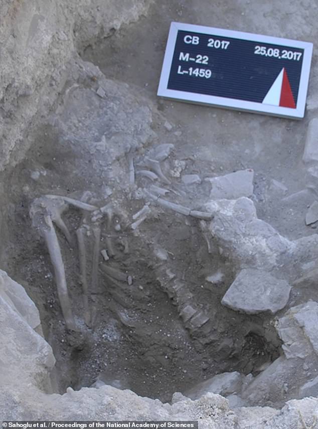 3500+ year old skeletons of young man and dog killed by Santorini volcano discovered