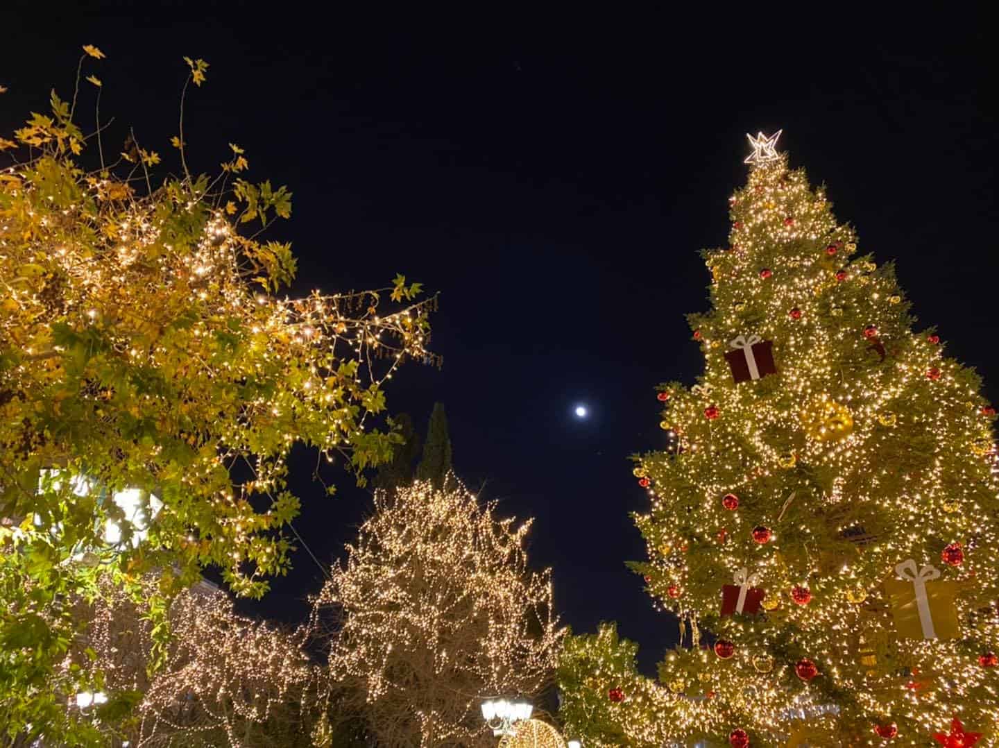 Athens Christmas decorations at Syntagma Square on December 16, 2021. © Greek City Times.