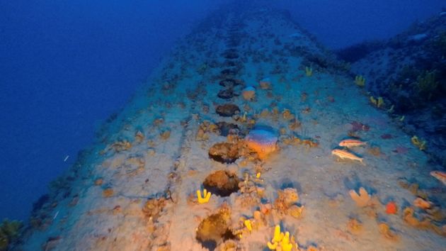 Greek divers discover World War II Italian submarine off Mykonos island
