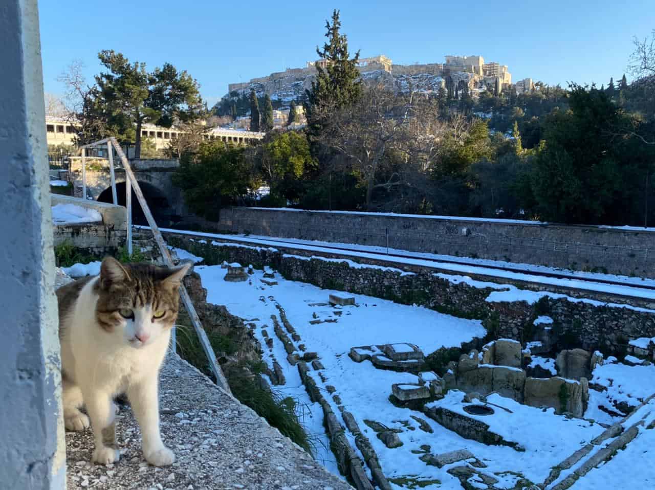 Athens after Elpis snowstorm - SEE the photos 16