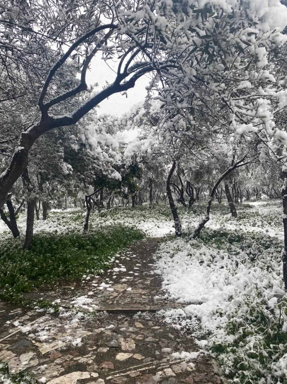 Elpis Snowstorm Athens January 24, 2022.