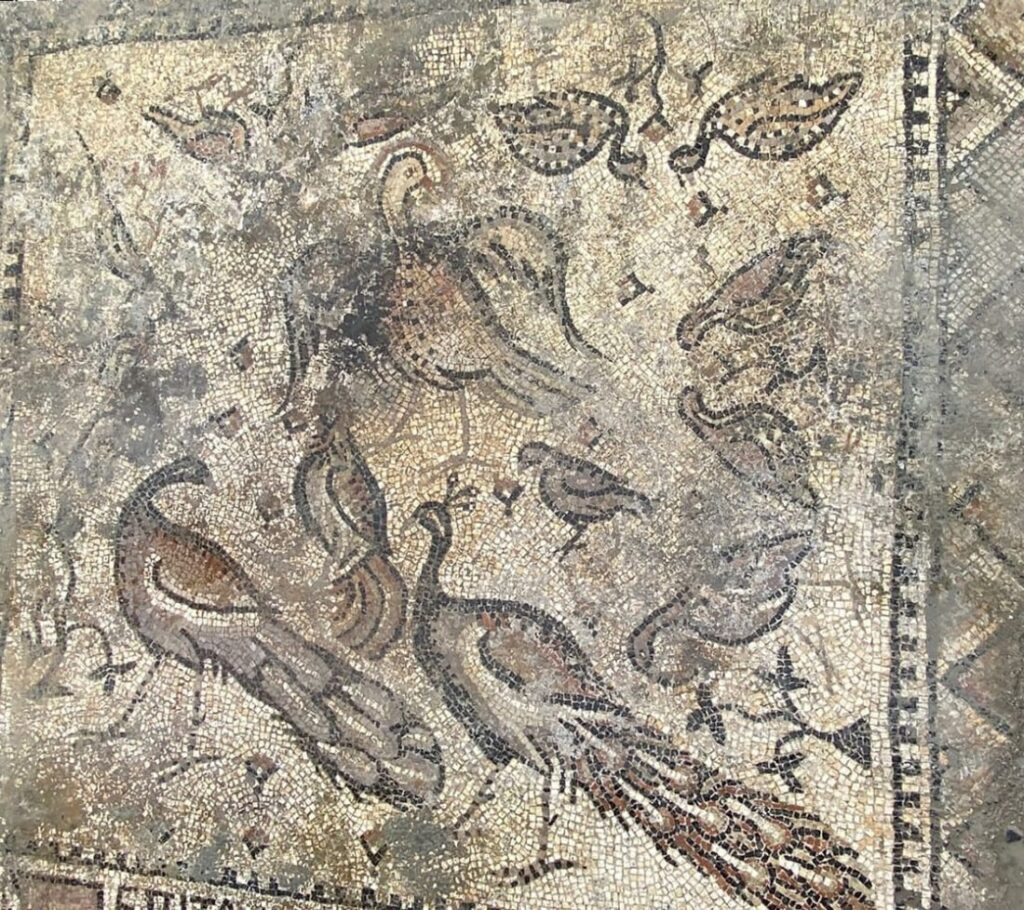 Mosaic in Greek prepared by a freed slave to thank God found in Turkey’s Hatay 2