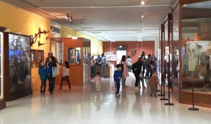 Athens University Zoology Museum to open its doors this weekend