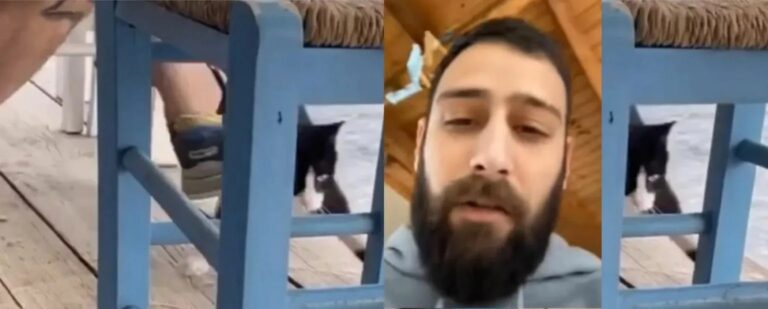 Albanian man arrested after kicking kitten into the sea
