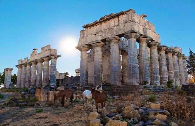 Cyrene Temple of Zeus horses