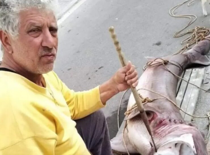 Chania fisherman 200kg shark Crete