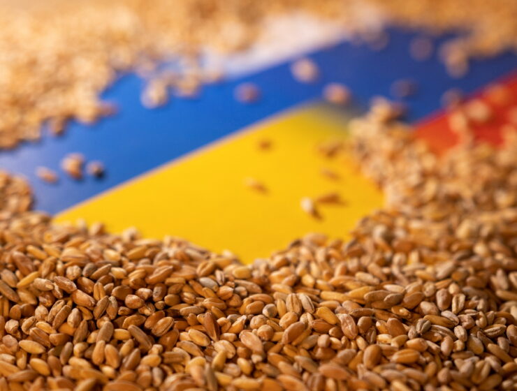 Ukrainian grain Ukraine