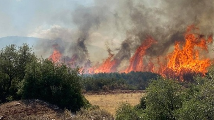 Megara wildfire