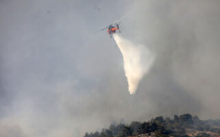 Big Fire Engulfs Lasithi: Over 20 Fire Engines Tackling Flames on Three Fronts