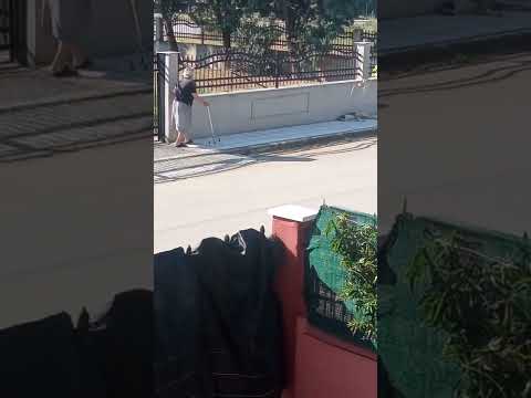 THESSALONIKI: Elderly woman throwing walking stick at dog causes uproar (video)