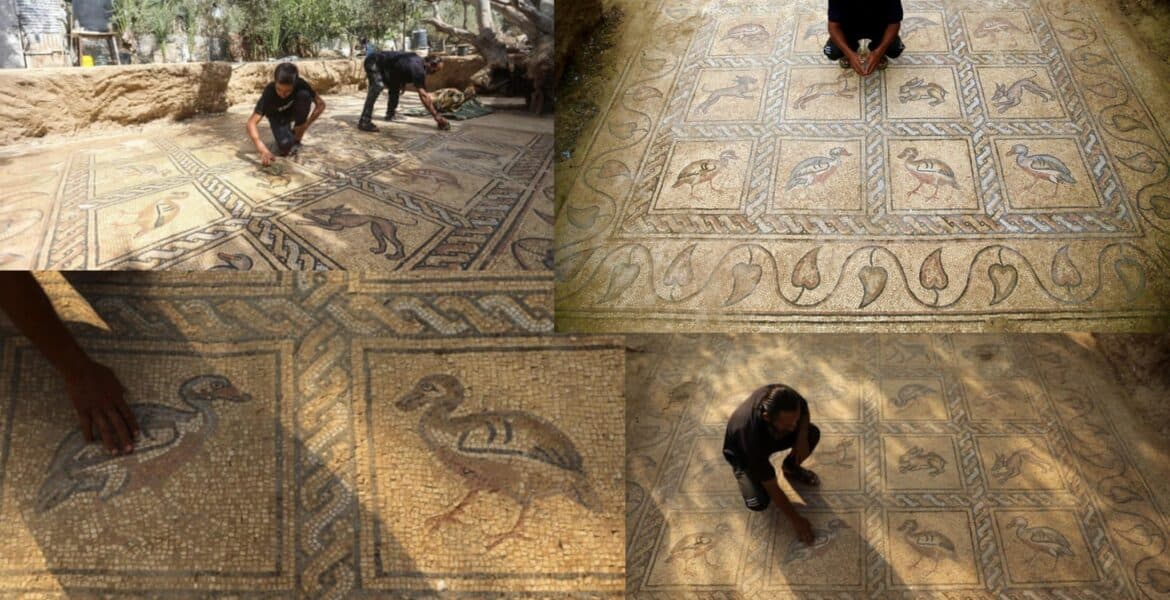 Palestinian farmer discovers Byzantine-era mosaic: "One of the greatest archaeological treasures ever found in Gaza"