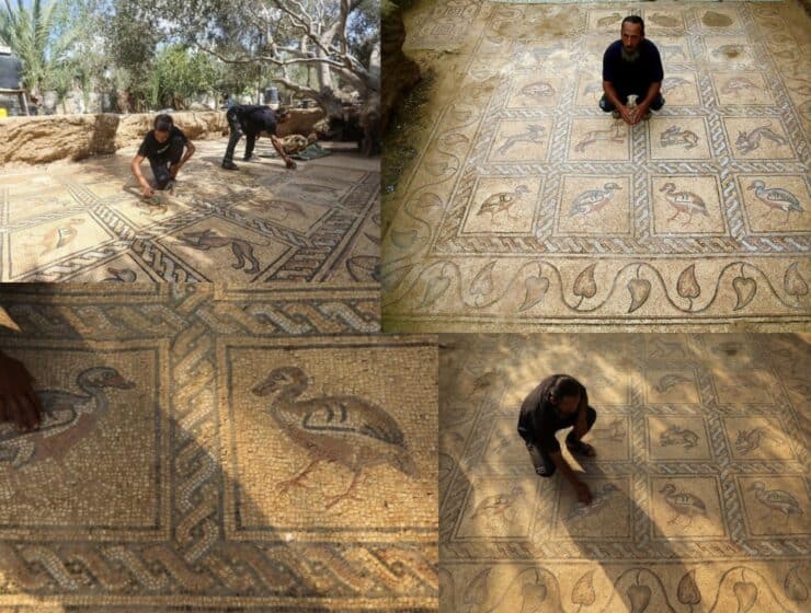 Palestinian farmer discovers Byzantine-era mosaic: "One of the greatest archaeological treasures ever found in Gaza"