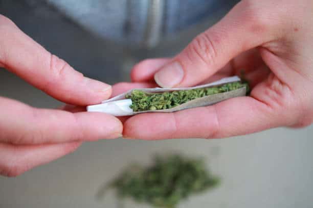 Volos Cannabis weed joint marijuana
