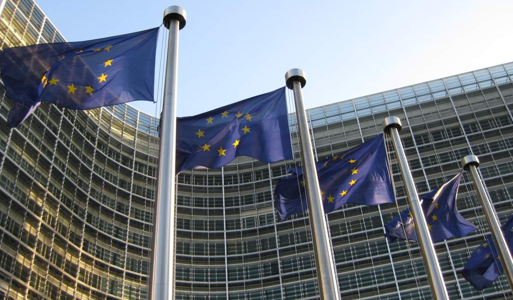 European Union EU flags Kashmir