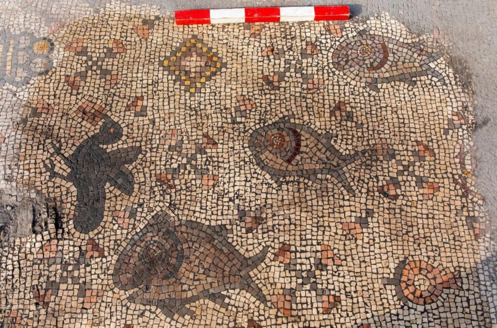 Depictions of fish and birds in the church hall mosaic at the Martyrion of Theodoros, northern Israel.Credit: Michael Eisenberg