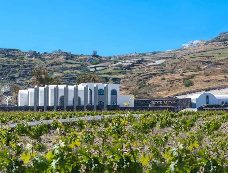 The World’s Best Vineyards in Greece