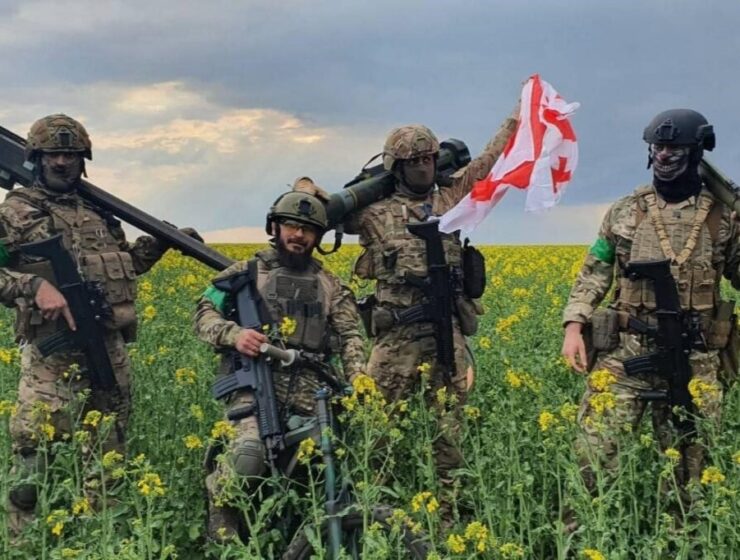 Caucasian fighters georgians