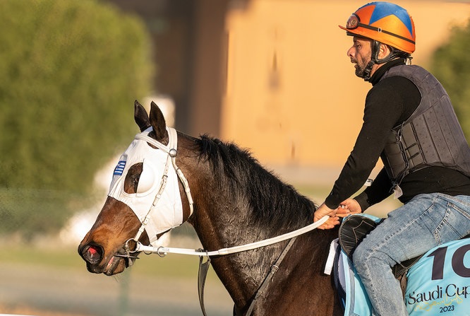 Above, Harry Haralambus, trainer of Baldwin, said they were invited ‘because we’re the second-top rated horse in Greece.’ (Jockey Club of Saudi Arabia)