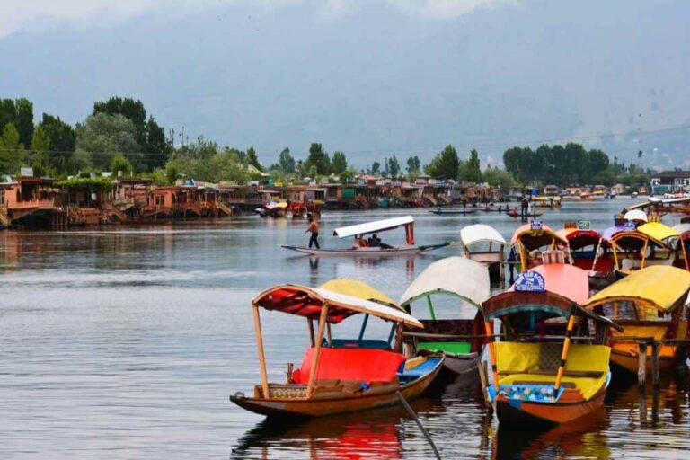 Srinagar Kashmir India