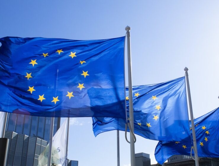 european union flags pakistan