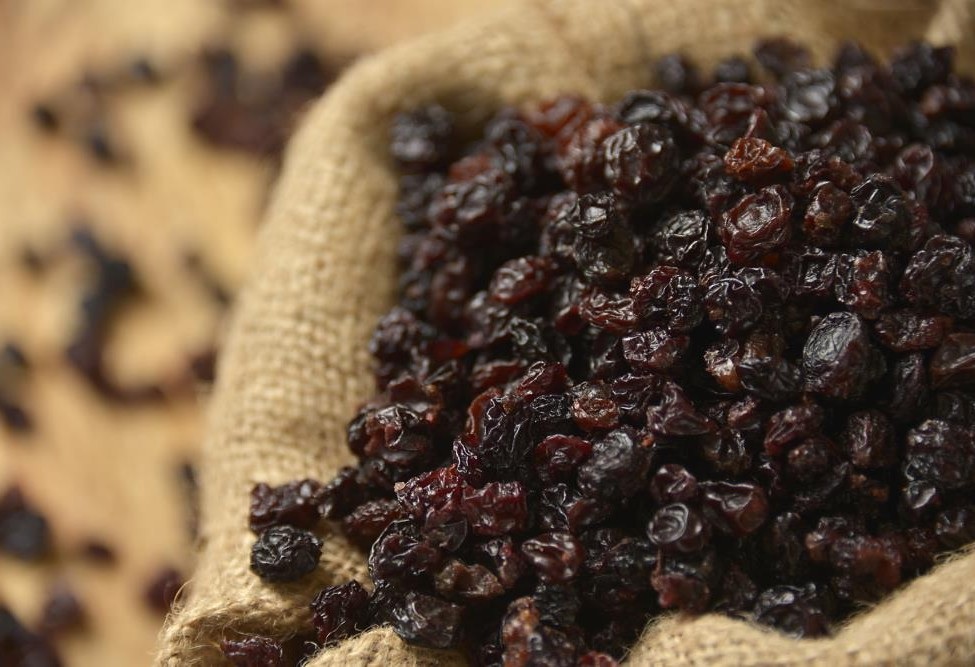 Corinthian raisins