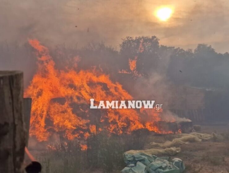 Lamia fire july 2023