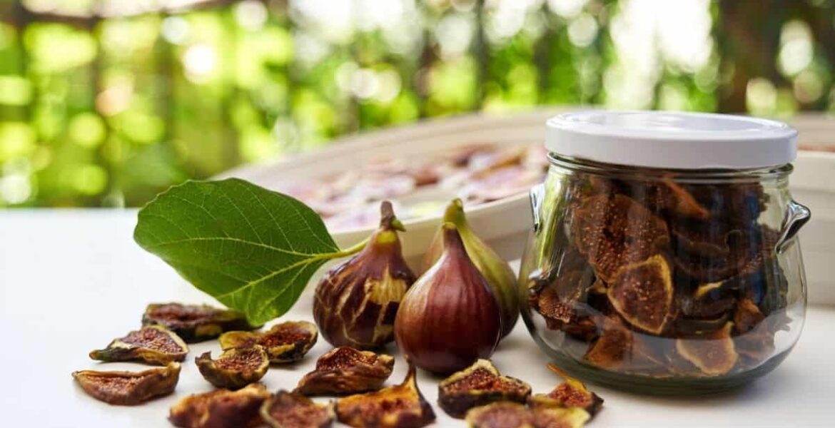 dried figs august
