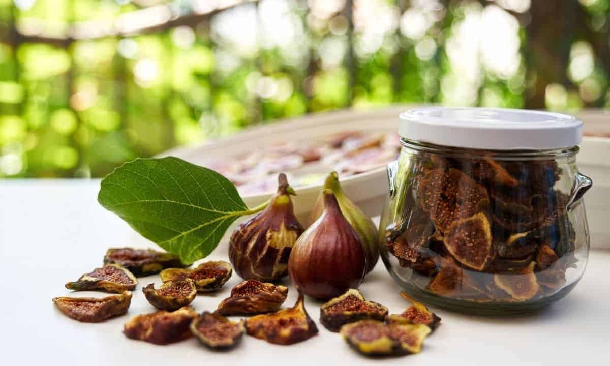 dried figs august