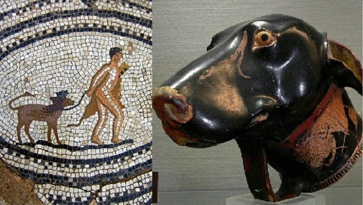 ancient greek dog breeds