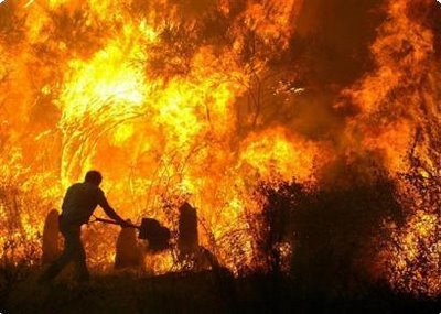 Wildfires Ravage Greece: Evacuations, Investigations, and Tragic Loss